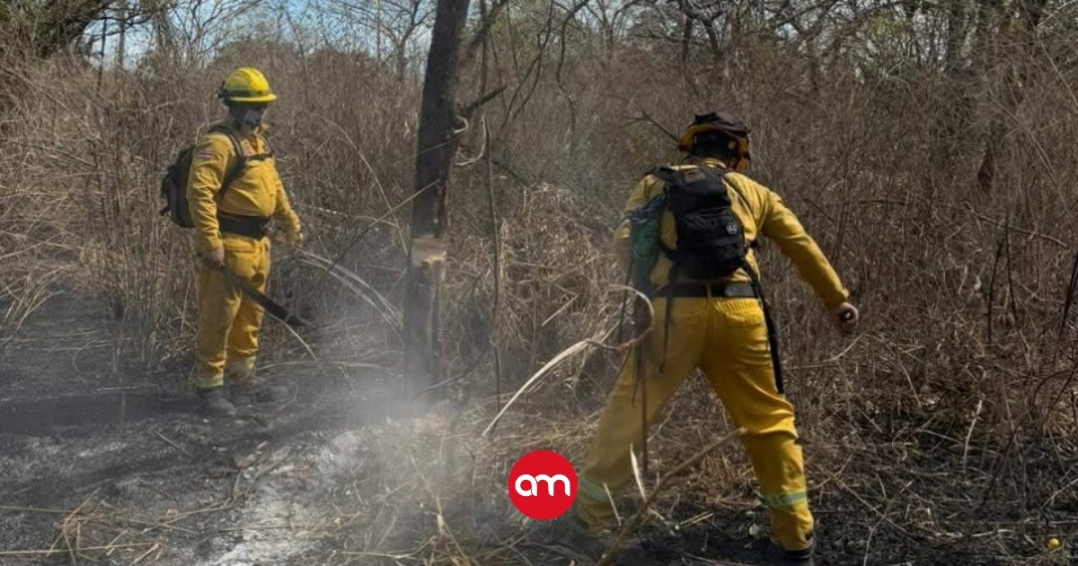 ¡Qué triste! Costa Rica alcanza los 200 incendios forestales en 2026: el año más crítico de la historia