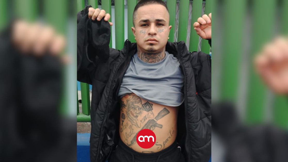 Luis Diego Quesada, alias Panochita